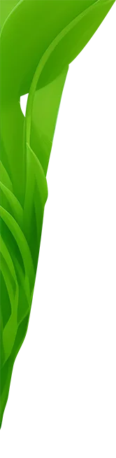 Green Leaves